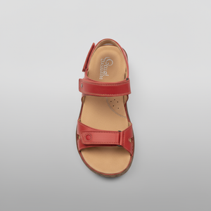 Red sandal on a gray background